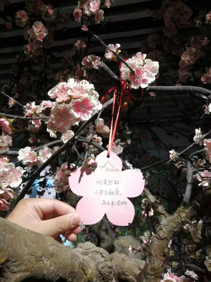 微信圖片_202104151626545.jpg 圖片